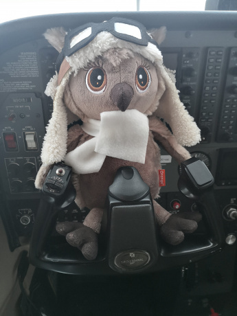 Мягкая игрушка совёнок-авиатор 25 см