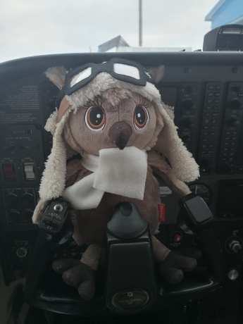 Мягкая игрушка совёнок-авиатор 25 см