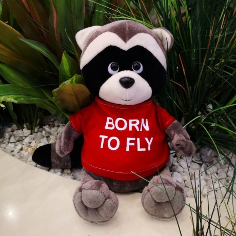 Мягкая игрушка Енот-пилот 25см